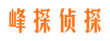 矿区侦探公司